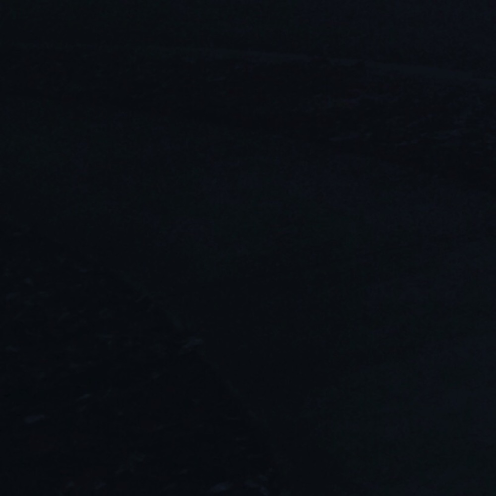 Meet your Posher, Lily